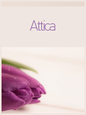 send flowers to atiica
