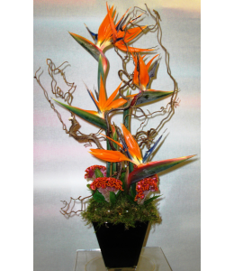 Flower arrangement in ceramic vase 5