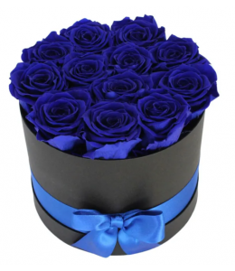 Blue Dutch Rose