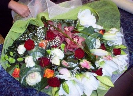 Ορχιδέα Σιμπίτιουμ - Μπράσικα - Τριαντάφυλλα Κόκκινα