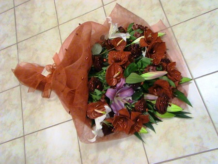 Erotic Bouquet of Red Amaryllis