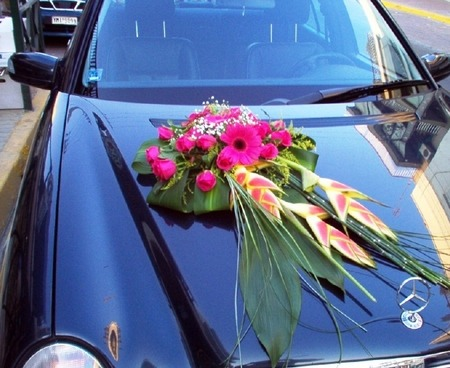 Decoration of the Wedding Car with Fuchsia Roses and Zermperes