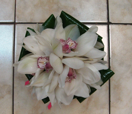 Bridal Bouquet Orchid sympitioum
