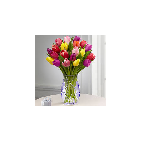 colored tulips in a vase